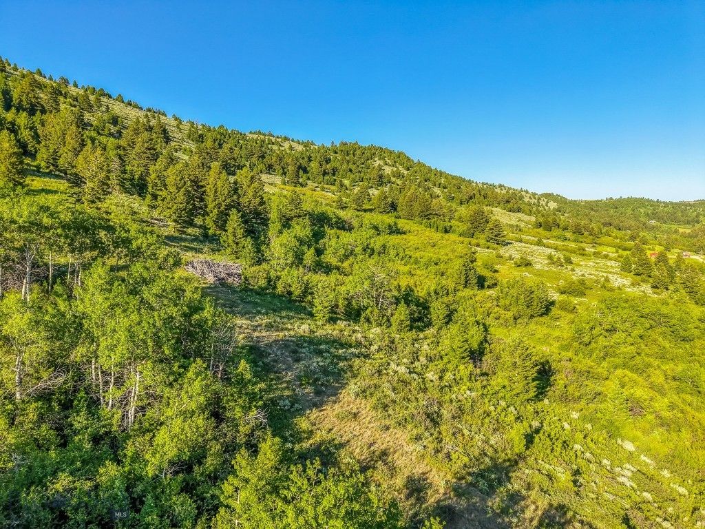 TBD Woodchuck Road, Bozeman, MT 59715 photo 12