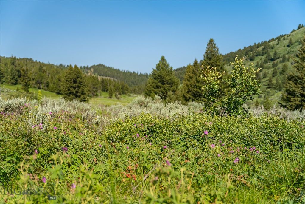 TBD Woodchuck Road, Bozeman, MT 59715 photo 16