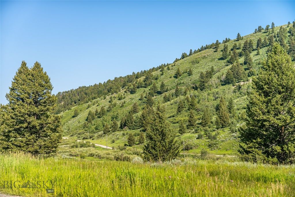 TBD Woodchuck Road, Bozeman, MT 59715 photo 18