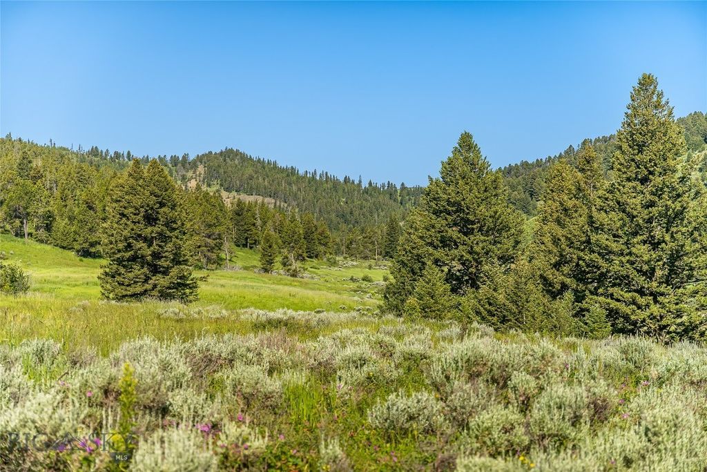 TBD Woodchuck Road, Bozeman, MT 59715 photo 19
