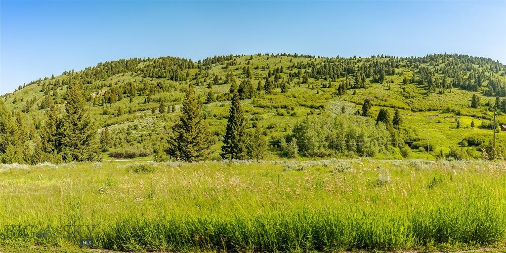 TBD Woodchuck Road, Bozeman, MT 59715 photo 20