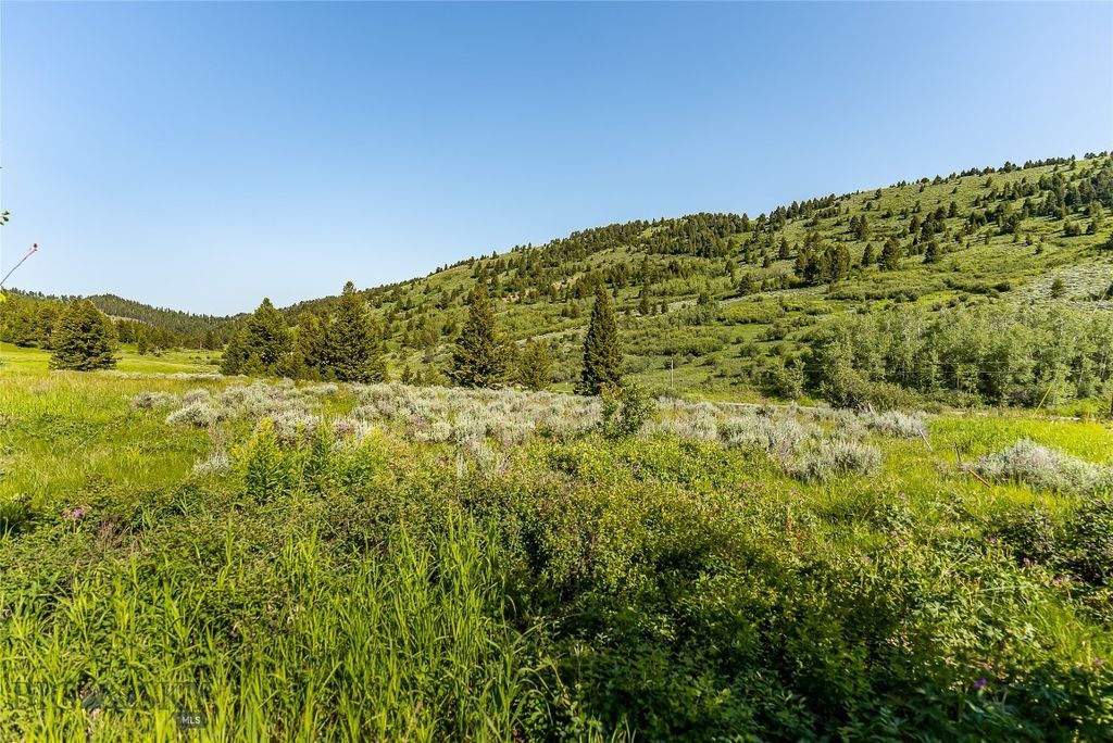 TBD Woodchuck Road, Bozeman, MT 59715 photo 21