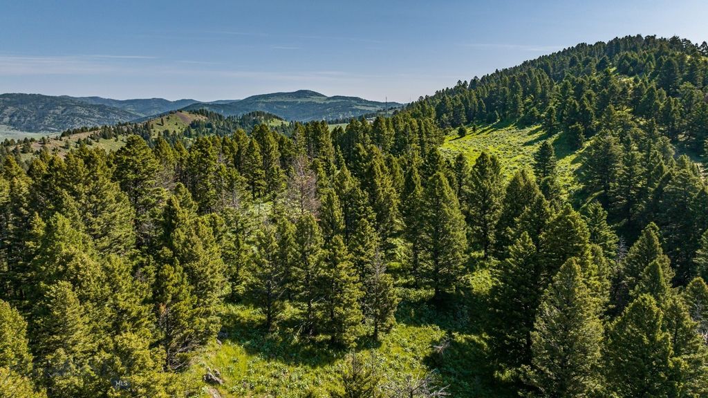 TBD Woodchuck Road, Bozeman, MT 59715 photo 26