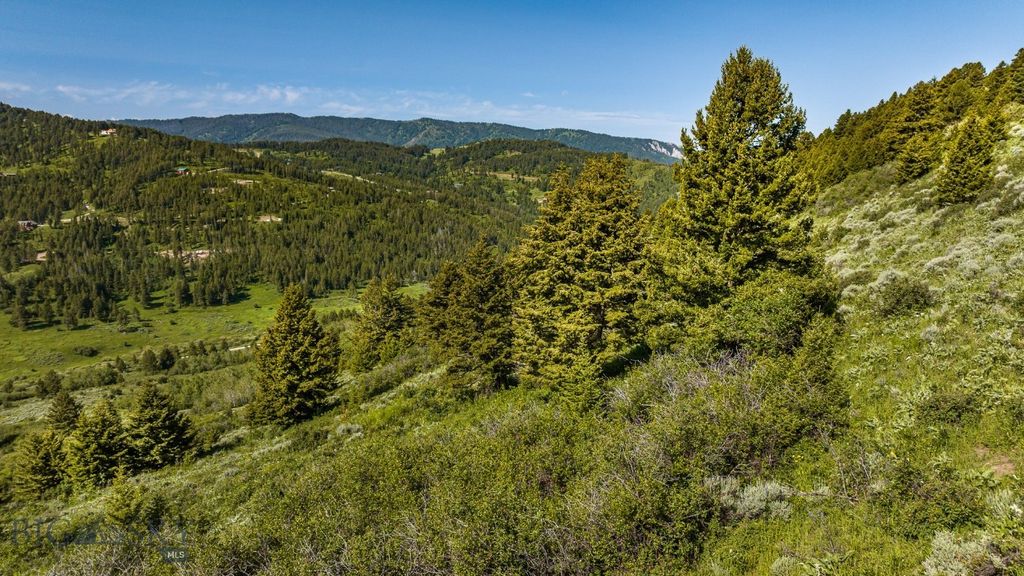 TBD Woodchuck Road, Bozeman, MT 59715 photo 32