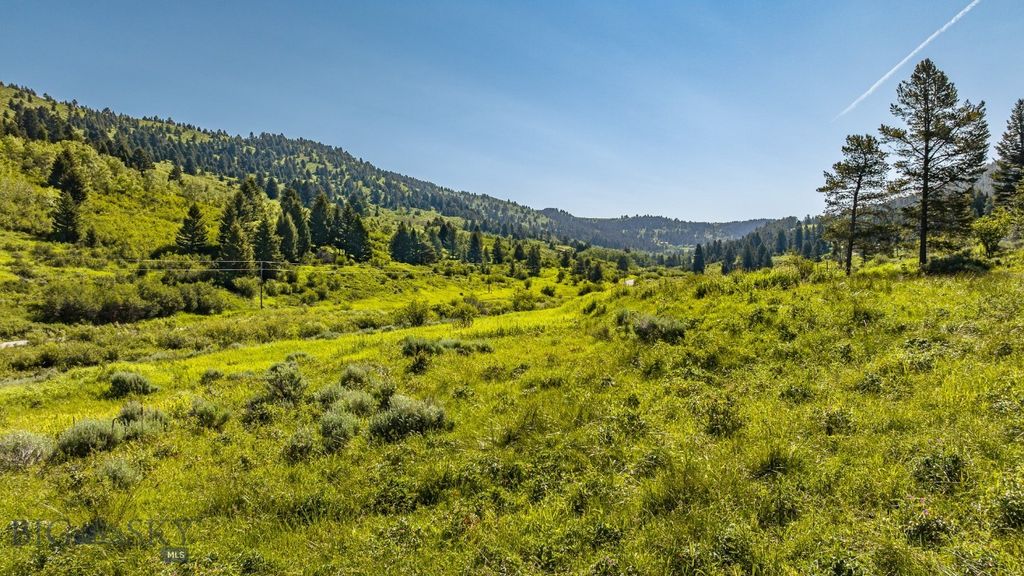 TBD Woodchuck Road, Bozeman, MT 59715 photo 33