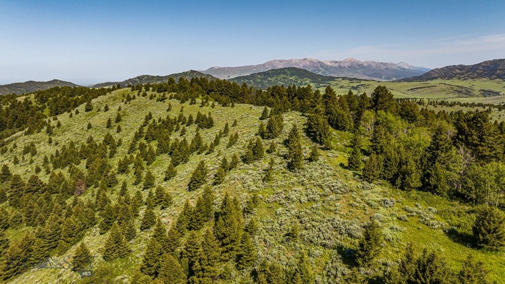 TBD Woodchuck Road, Bozeman, MT 59715 photo 39