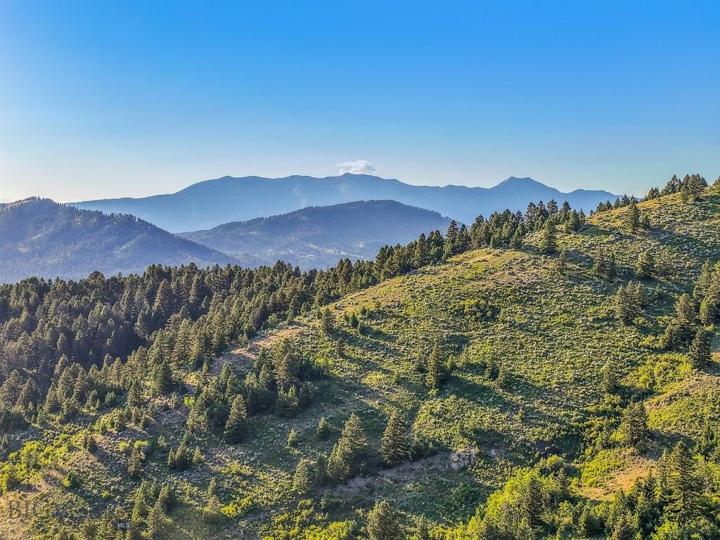 TBD Woodchuck Road, Bozeman, MT 59715 photo 4