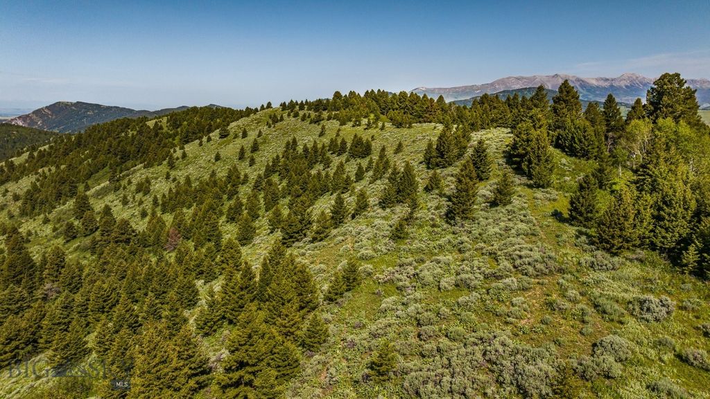 TBD Woodchuck Road, Bozeman, MT 59715 photo 40