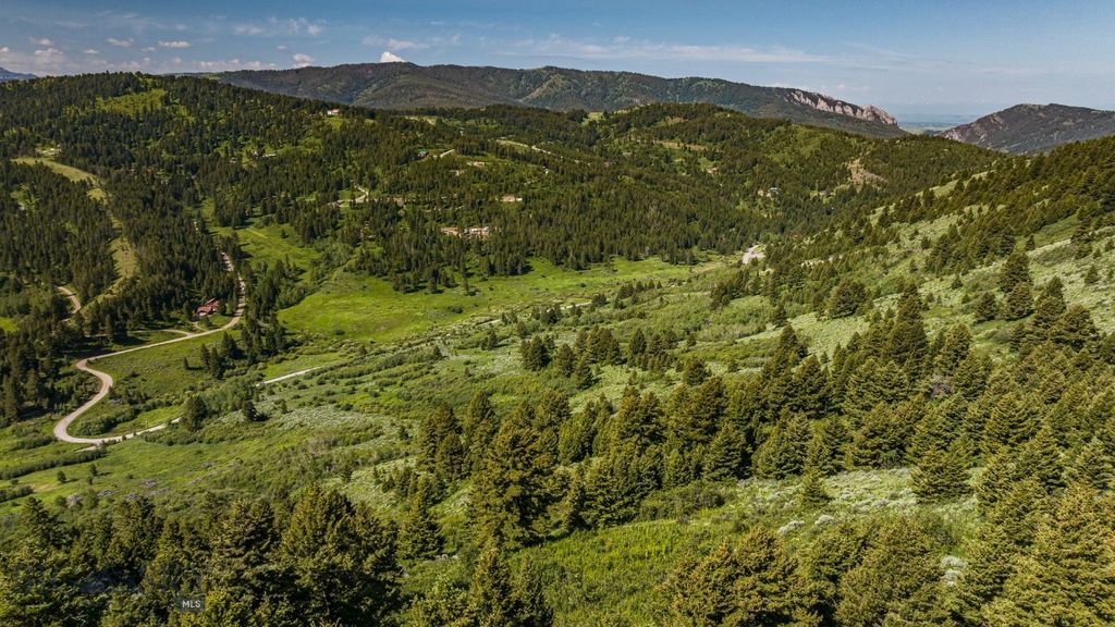 TBD Woodchuck Road, Bozeman, MT 59715 photo 41