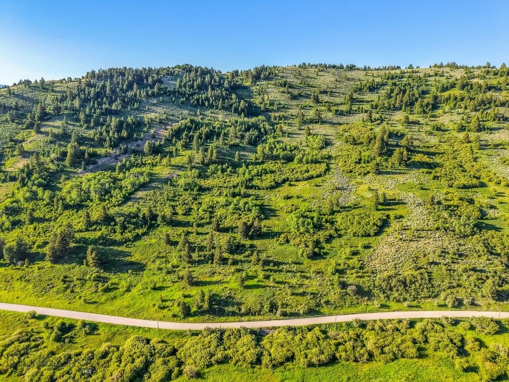 TBD Woodchuck Road, Bozeman, MT 59715 photo 43