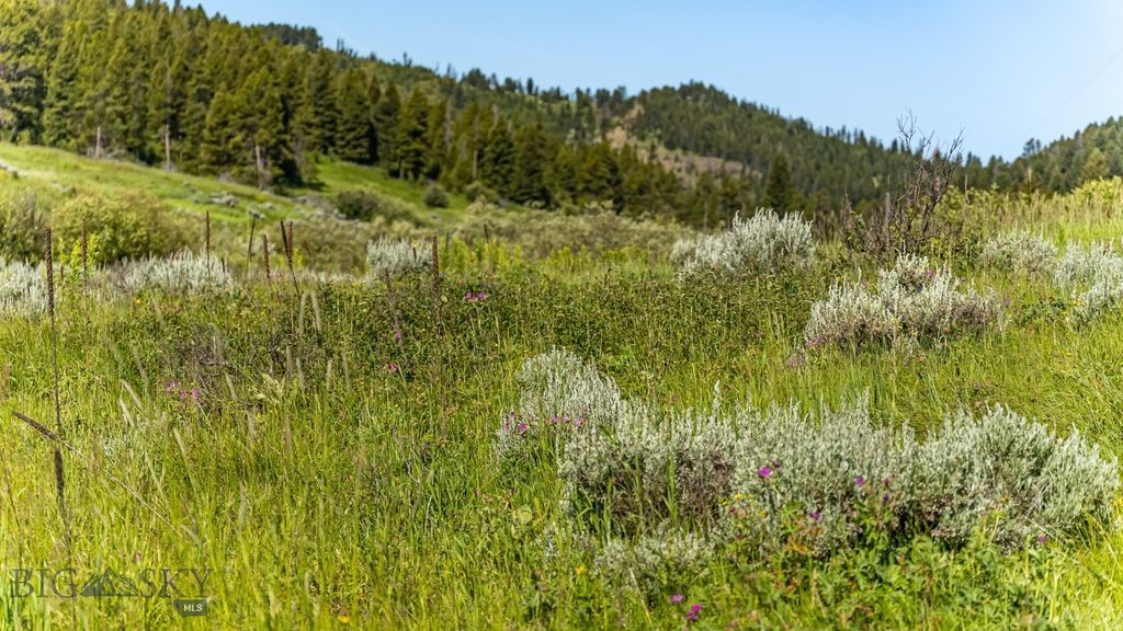 TBD Woodchuck Road, Bozeman, MT 59715 photo 44