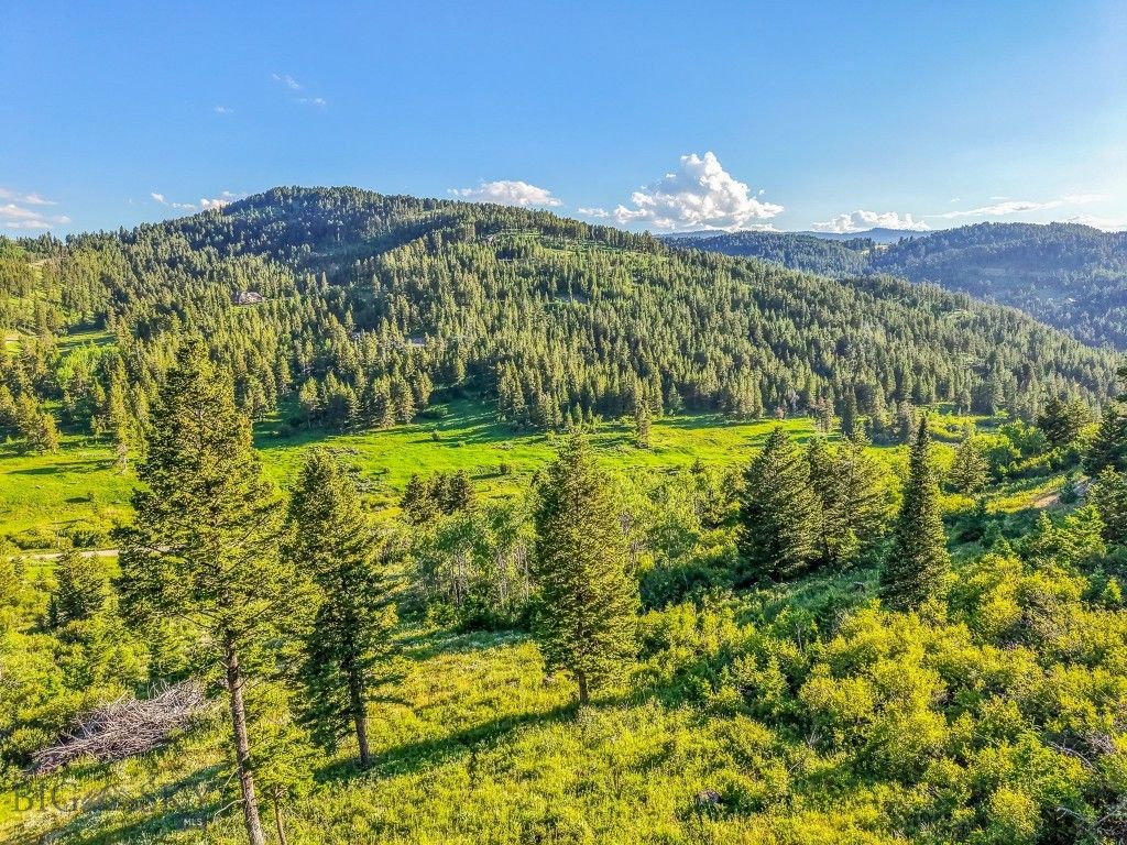 TBD Woodchuck Road, Bozeman, MT 59715 photo 5