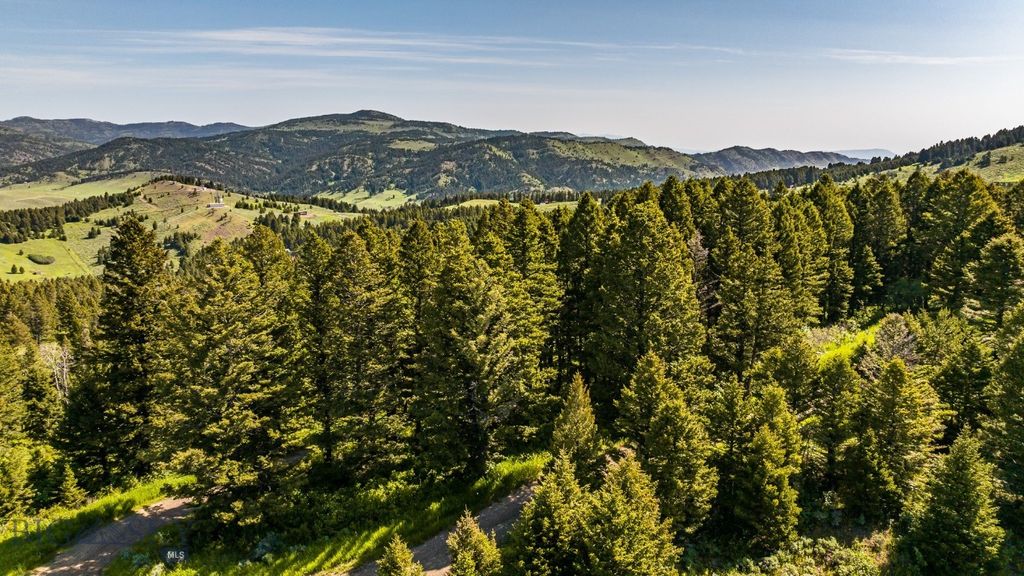 TBD Woodchuck Road, Bozeman, MT 59715 photo 9