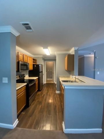 18489 BRIDLE CLUB DRIVE 184k, Tampa, FL 33647