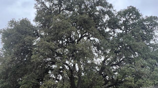 LOT 24 HEINEN CIRCLE, Bandera, TX 78003