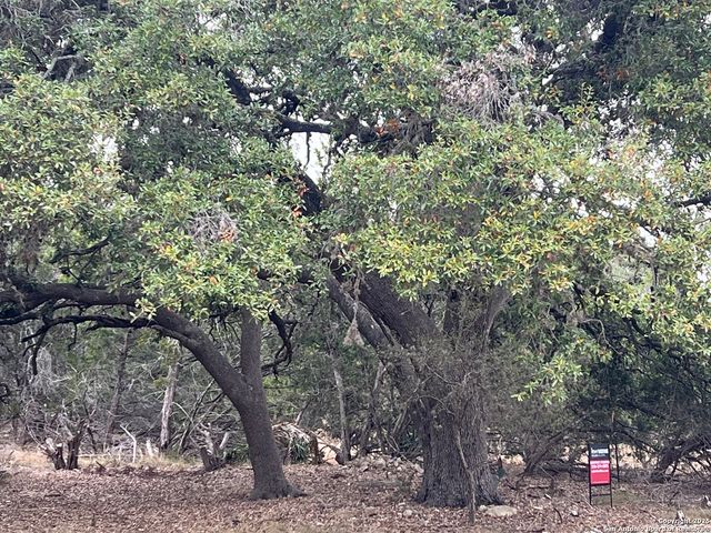 LOT 24 HEINEN CIRCLE, Bandera, TX 78003