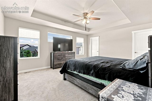 2382 Pelican Bay Drive, Monument, CO 80132