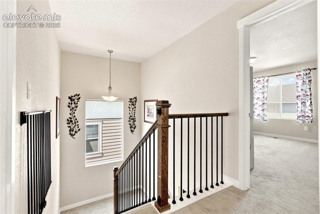 2382 Pelican Bay Drive, Monument, CO 80132