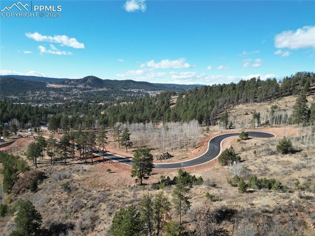 1300 Blue Haven Place, Woodland Park, CO 80863