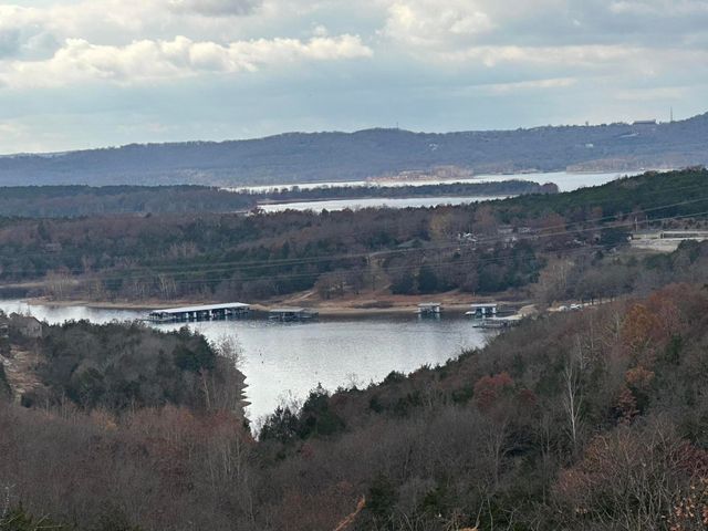 100 Pointe Pinnacle Lane, Branson, MO 65616