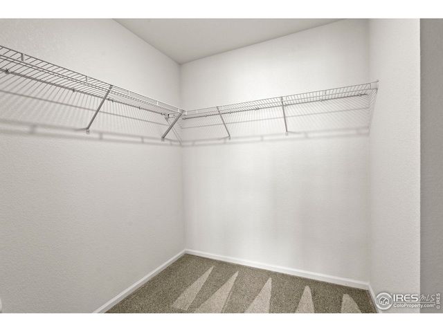 1377 Siltstone St, Erie, CO 80516