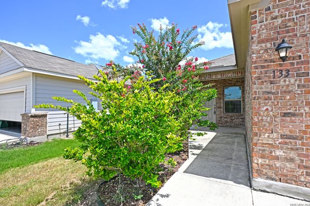 133 BUTTERCUP BND, New Braunfels, TX 78130