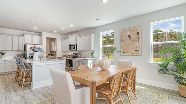 928 Hibernation Way, Conway, SC 29526