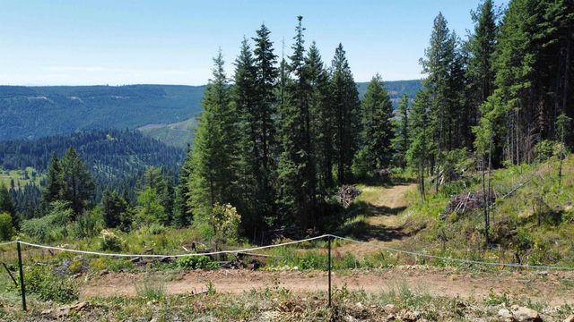 701 Black Bear Dr, Orofino, ID 83544