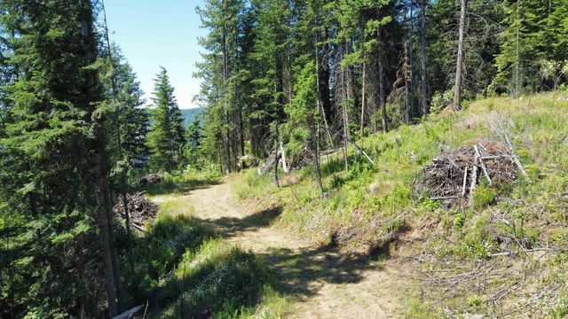 701 Black Bear Dr, Orofino, ID 83544
