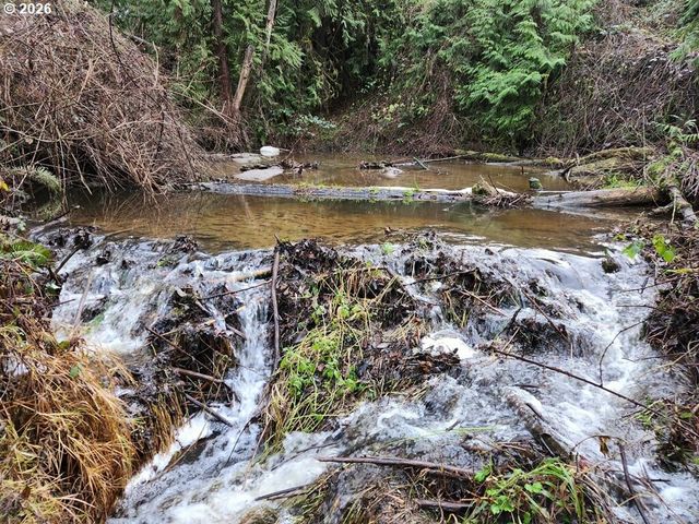 12718 Ne 159TH St, Brush Prairie, WA 98606