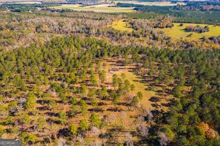 0 Brown Hill Road, Elko, GA 31025