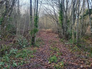 1200 Baby Doll Road E, Port Orchard, WA 98366