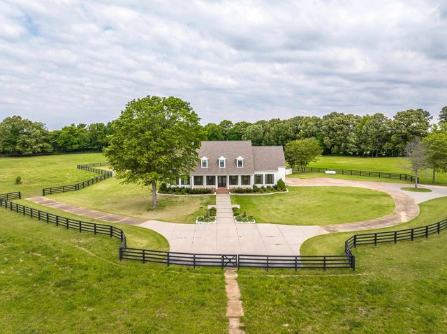 6085 YUM YUM RD, Somerville, TN 38068