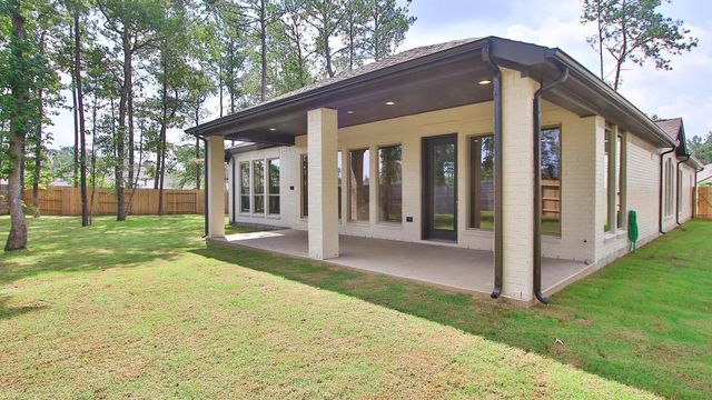 17804 Parnassum Path, Conroe, TX 77302