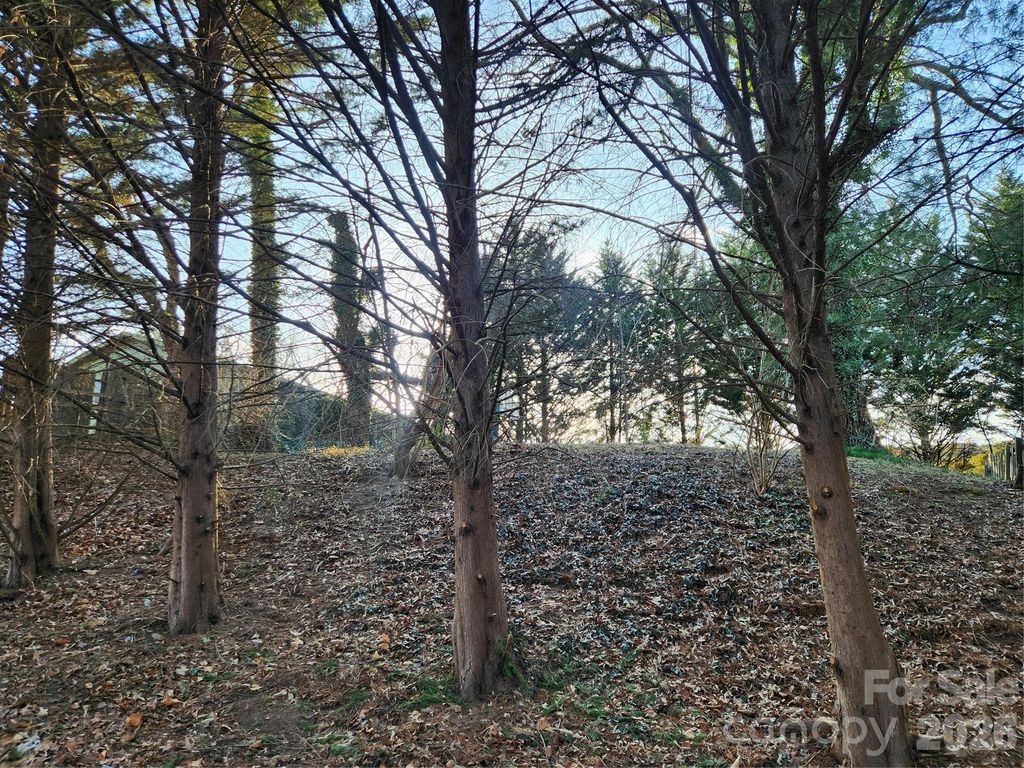 8 John Street, Asheville, NC 28801