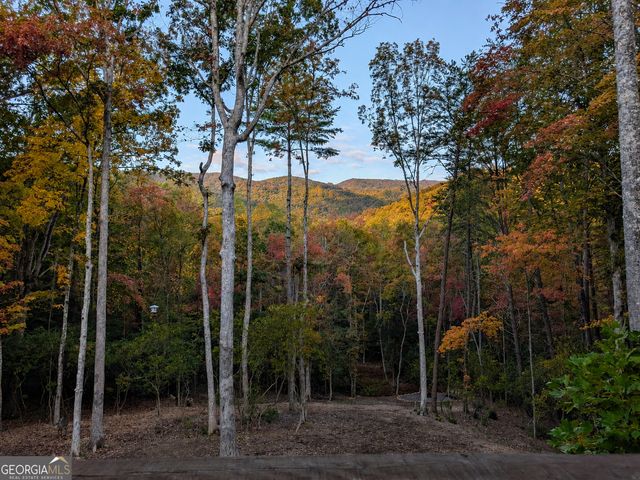 195 Moonshine Way, Blue Ridge, GA 30513