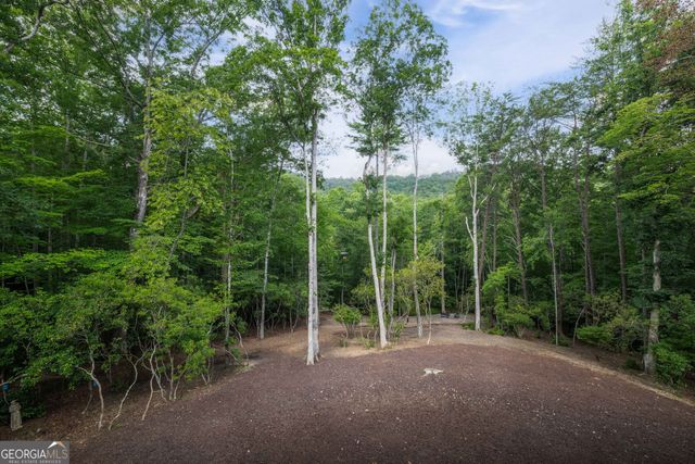 195 Moonshine Way, Blue Ridge, GA 30513