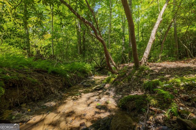 195 Moonshine Way, Blue Ridge, GA 30513