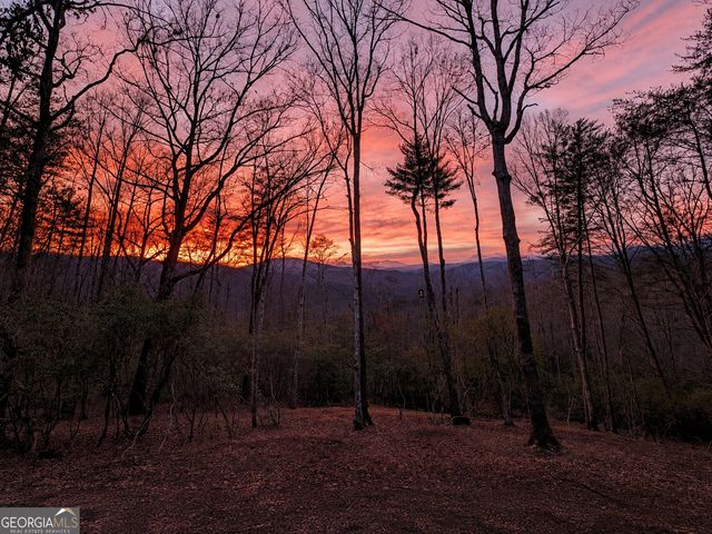 195 Moonshine Way, Blue Ridge, GA 30513