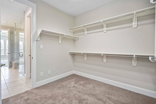 2710 Big Vine Court, Sienna Plantation, TX 77459