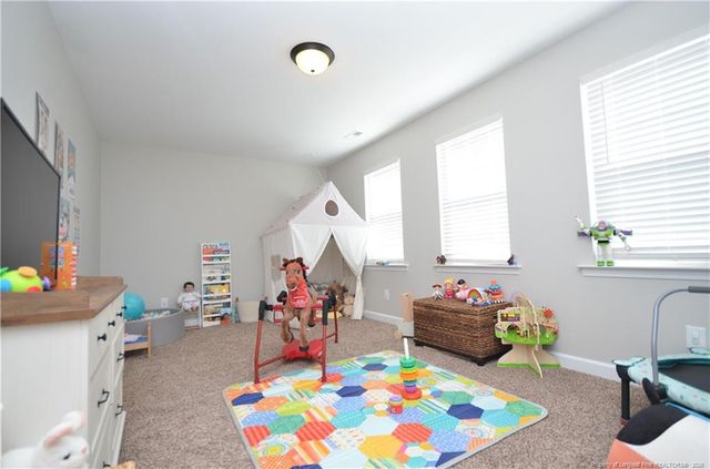 82 Folly Court, Linden, NC 28356