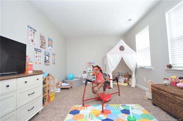 82 Folly Court, Linden, NC 28356