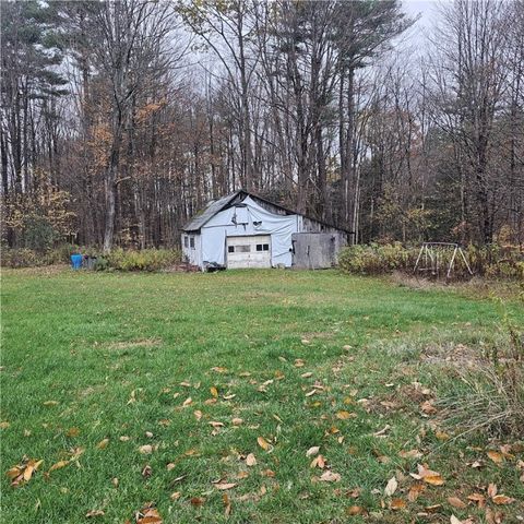 7189 Freeman Hollow Road, Bath, NY 14810