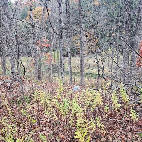 7189 Freeman Hollow Road, Bath, NY 14810