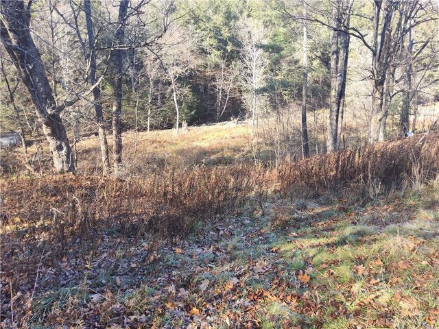 7189 Freeman Hollow Road, Bath, NY 14810