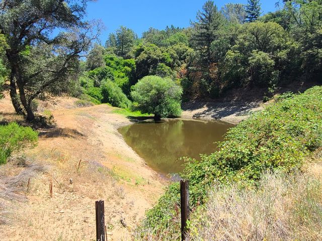 4017 Bright Hope Mine Rd, Placerville, CA 95667