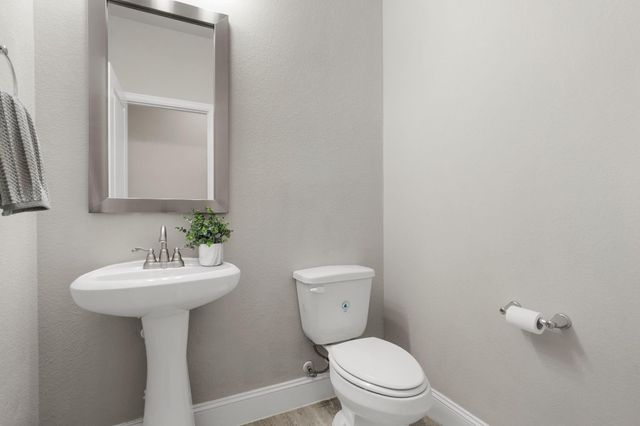 2622 Big Vine Court, Missouri City, TX 77459