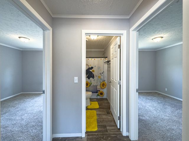 95 Chilson Drive, Warne, NC 28909