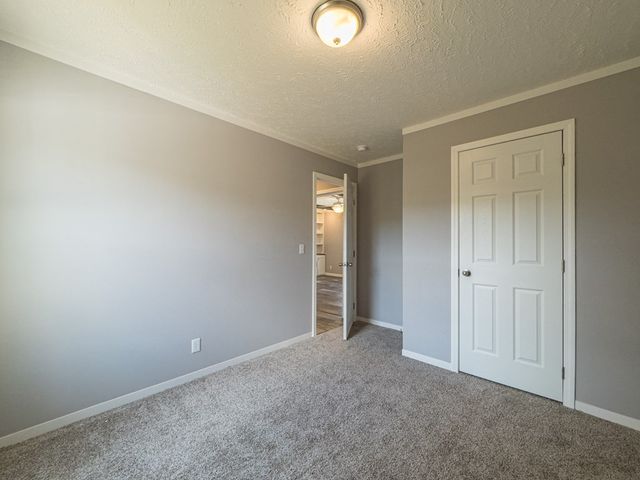 95 Chilson Drive, Warne, NC 28909