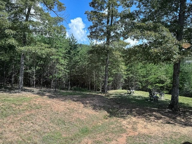 95 Chilson Drive, Warne, NC 28909